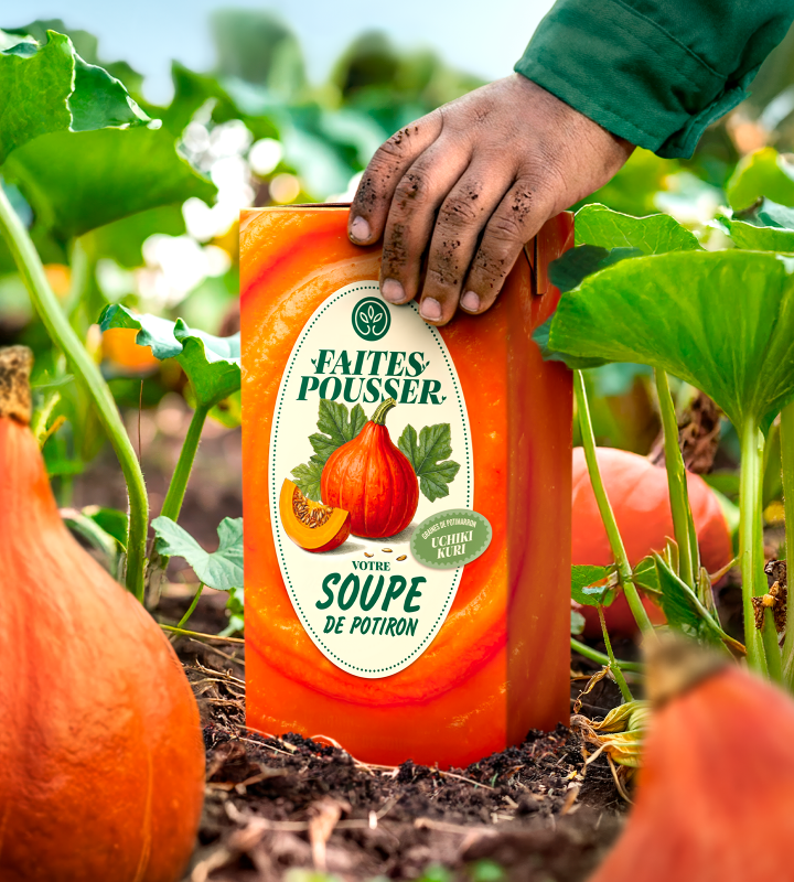 Gamm-vert-faites-pousser-vos-courses