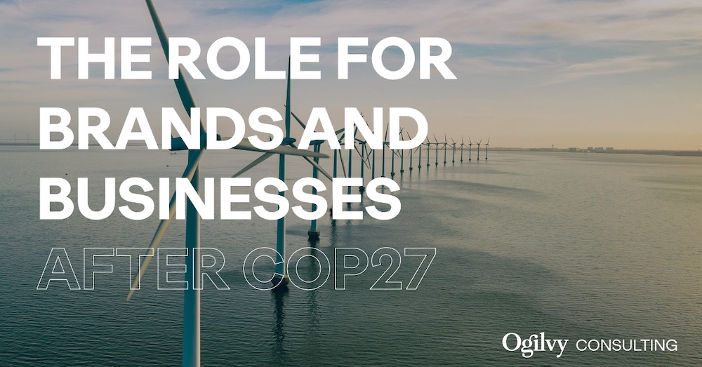 The Role For Brands After COP 27