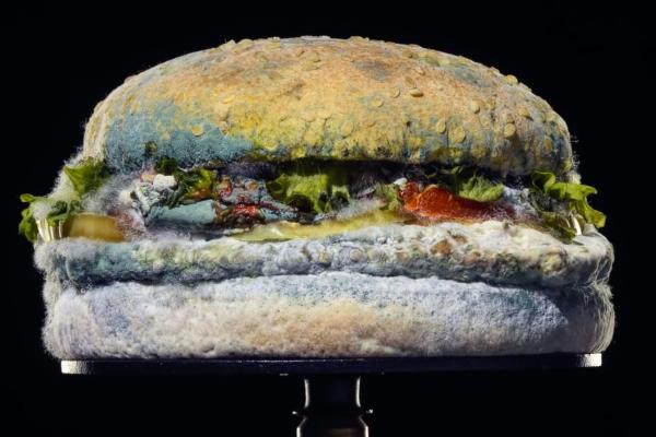 The Moldy Whopper - Burger King | Ogilvy