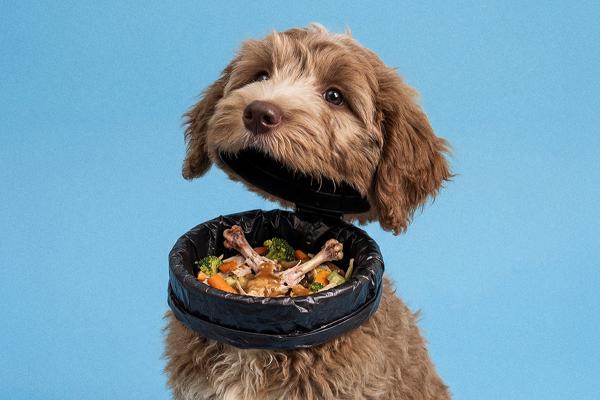 Surreal photo of a fluffy brown puppy whose neck opens up like a flip-top trash bin, revealing a lined garbage receptacle filled with food scraps including chicken bones, carrots, and broccoli against a solid blue background.