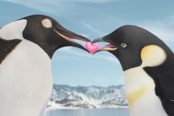 Two penguins with a pink heart between their beaks