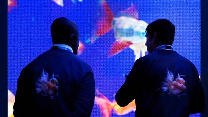 Two people in silhouette from the back looking at a projection of an AI generated image of fish against a blue digital background. They are both wearing jackets with an image of a fish on the back.