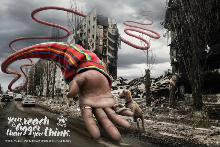 Pets of War - Four Paws | Ogilvy Pets of War - Four Paws | Ogilvy
