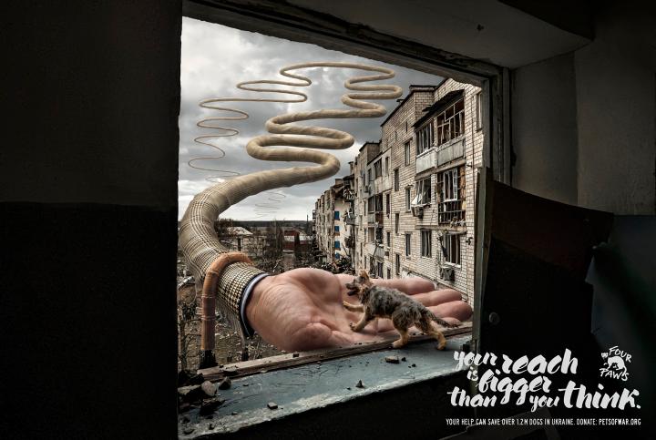 Pets of War - Four Paws | Ogilvy Pets of War - Four Paws | Ogilvy