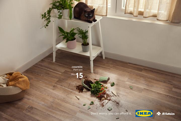 Don't Worry, You Can Afford It — Al-Futtaim IKEA Cat laying on a shelf next to a group of potted plants, below is a plant that it has knocked over, smashing the pot into pieces and spilling the soil on the floor