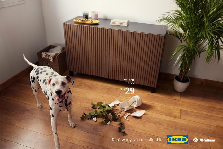 Don't Worry, You Can Afford It — Al-Futtaim IKEA Dalmatian happily looking at the camera while a potted plant is smashed on the ground next to it