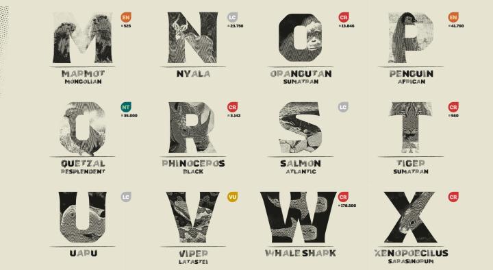 The Endangered Typeface — WWF Portugal and Lisbon Zoo Letters M through X of the Endangered Typeface font