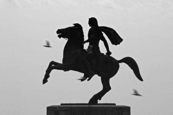 Silhouette of a rider on a rearing horse against a bright sky, with birds flying past.