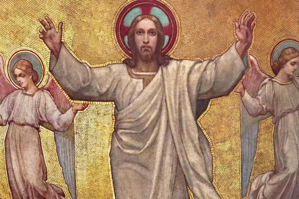 Jesus our Supporter - Adidas