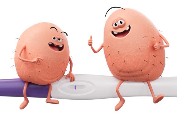Two cartoon testicles, smiling at each other while sitting on a pregnancy test