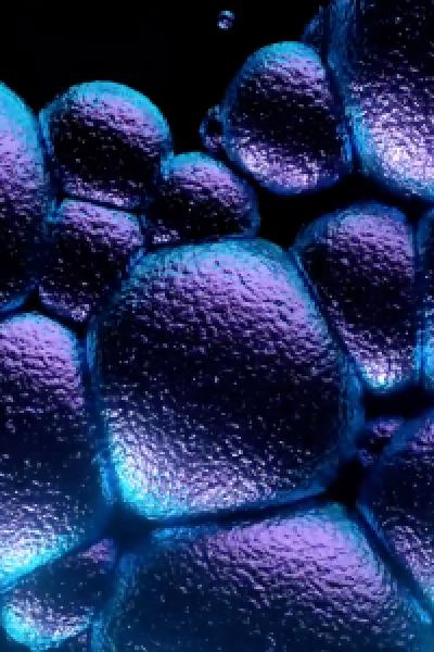 Spot The Station - Adidas Do Brasil | Ogilvy