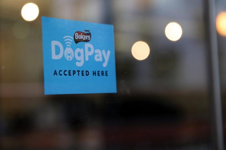 DogPay - Purina | Ogilvy